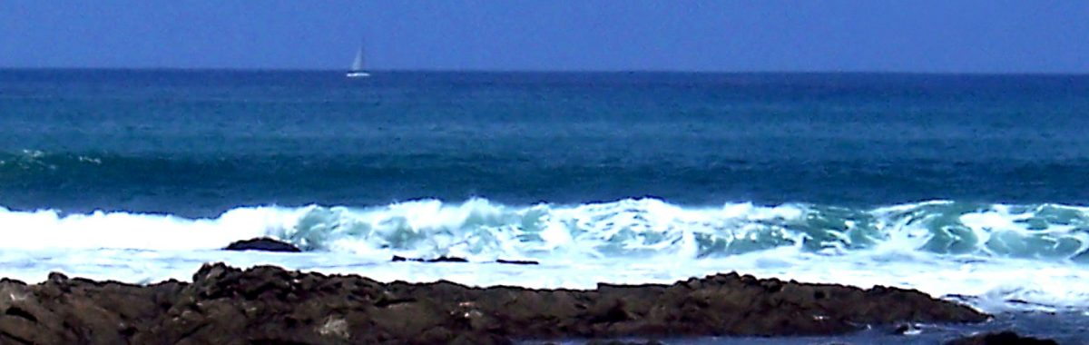 schiff schiff